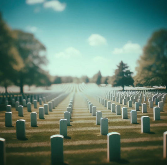 Memorial Day Tribute from Class 5 Performance
